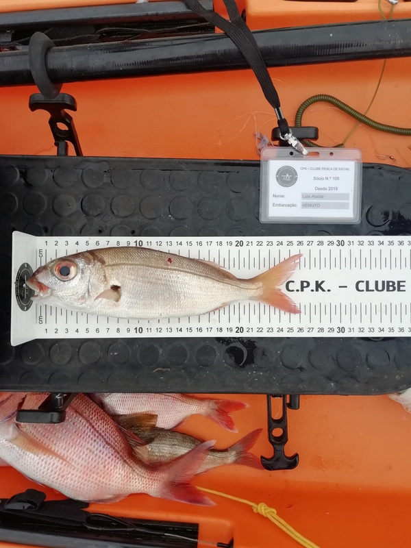 Fish Measure Picture